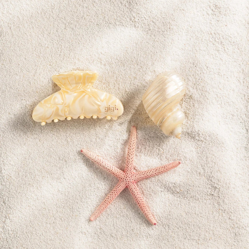 la belle pince coquillage chantilly