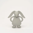 Lapin de dentition gris