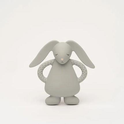 Lapin de dentition gris
