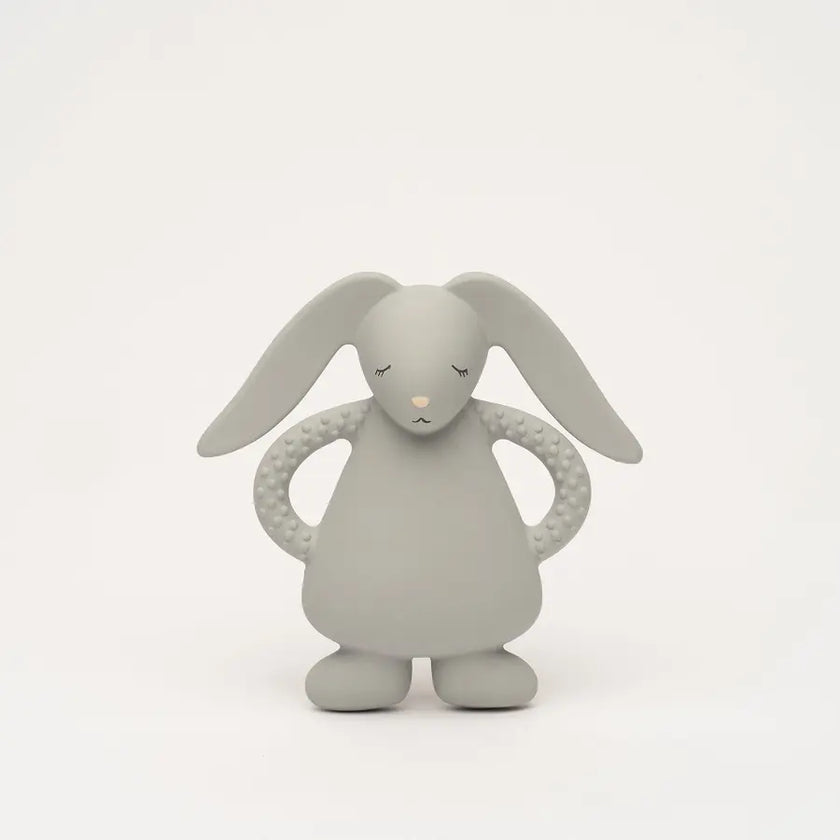 Lapin de dentition gris