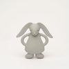 Lapin de dentition gris