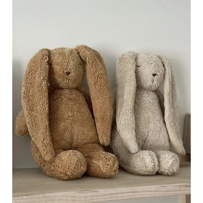 Lapin Moonie Sable et Cappucino