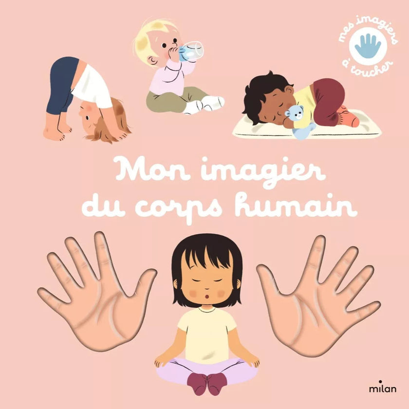 livre a toucher mon imagier du corps humain