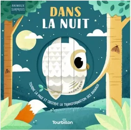 livre dans la nuit