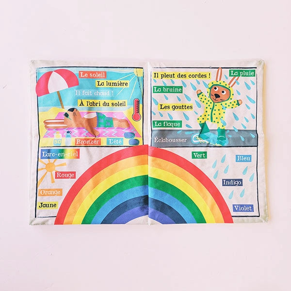 livre journal la meteo 