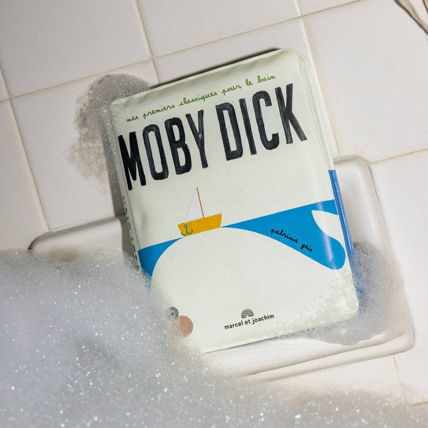 livre moby dick