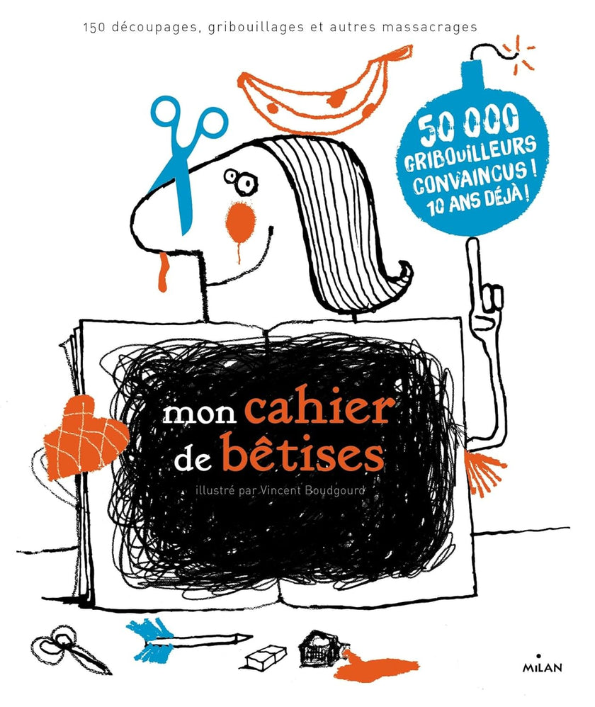 livre mon cahier de betises