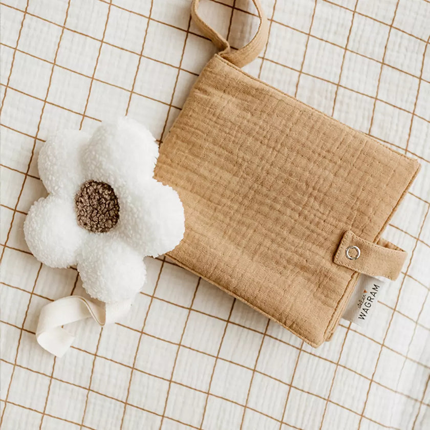 mini album photos camel