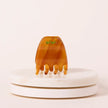 mini pince coco