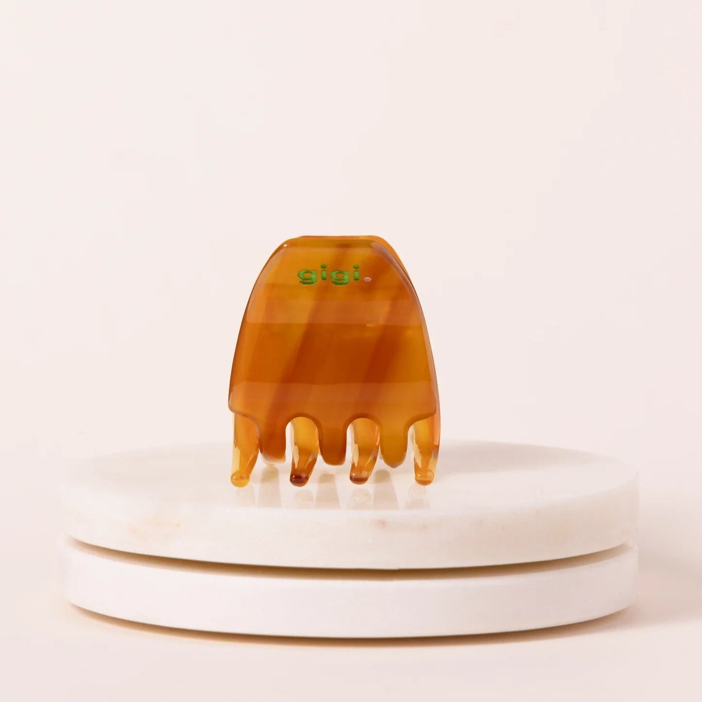 mini pince coco