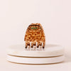 mini pince tigre