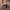 Boots fourrure marron