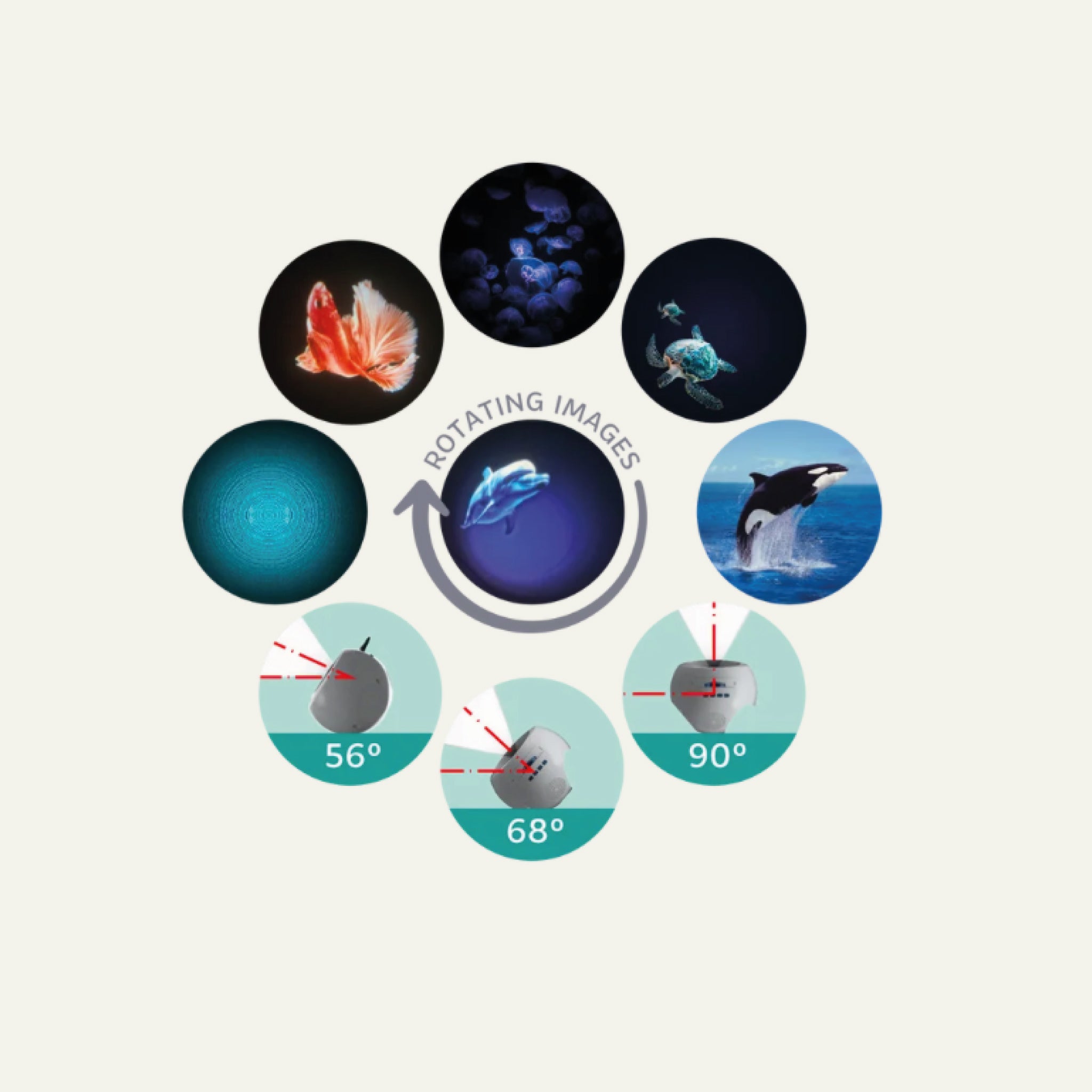 Projecteur d'images Océans et Mers KIDYSTAR - vert