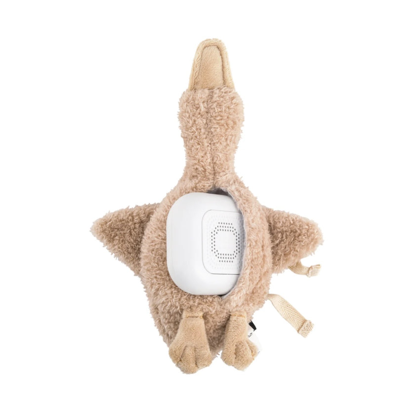 oie liva portable avoine