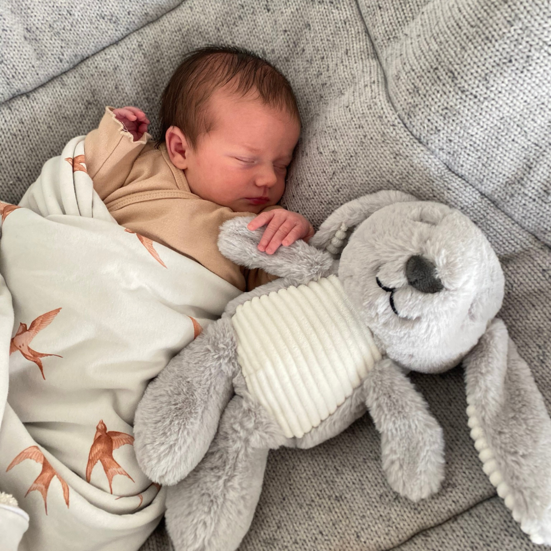 Peluche Lapin Milo