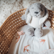 Peluche Lapin Milo
