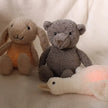 Peluche lumineuse