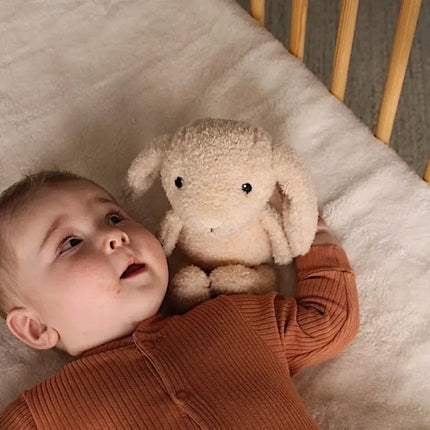 Peluche lumineuse