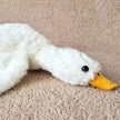 Peluche oie blanche