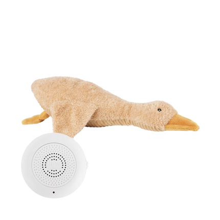 peluche sonore rechargeable liva