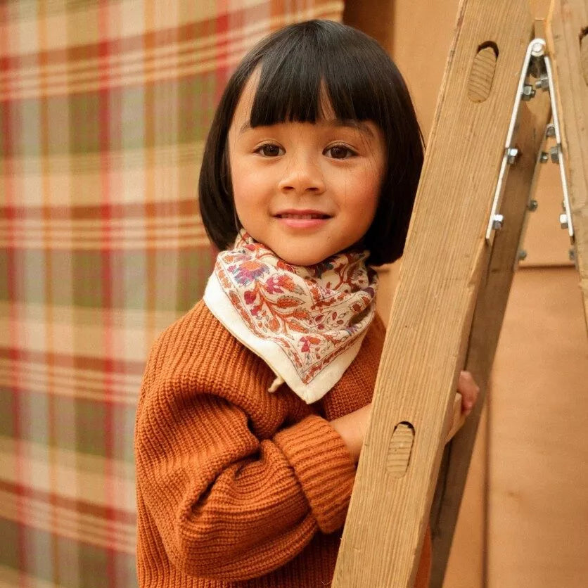 petit foulard rhapsody amethyste