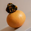 Pince léopard gentil coquelicot petite