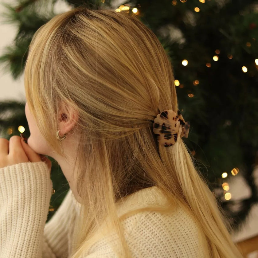 pince a cheveux coquillage