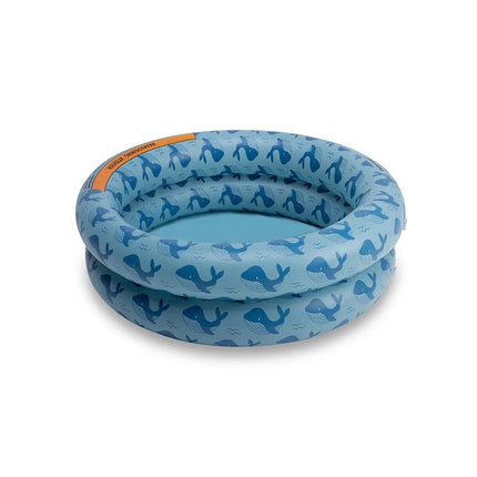 Piscine itinérante | SeaLife