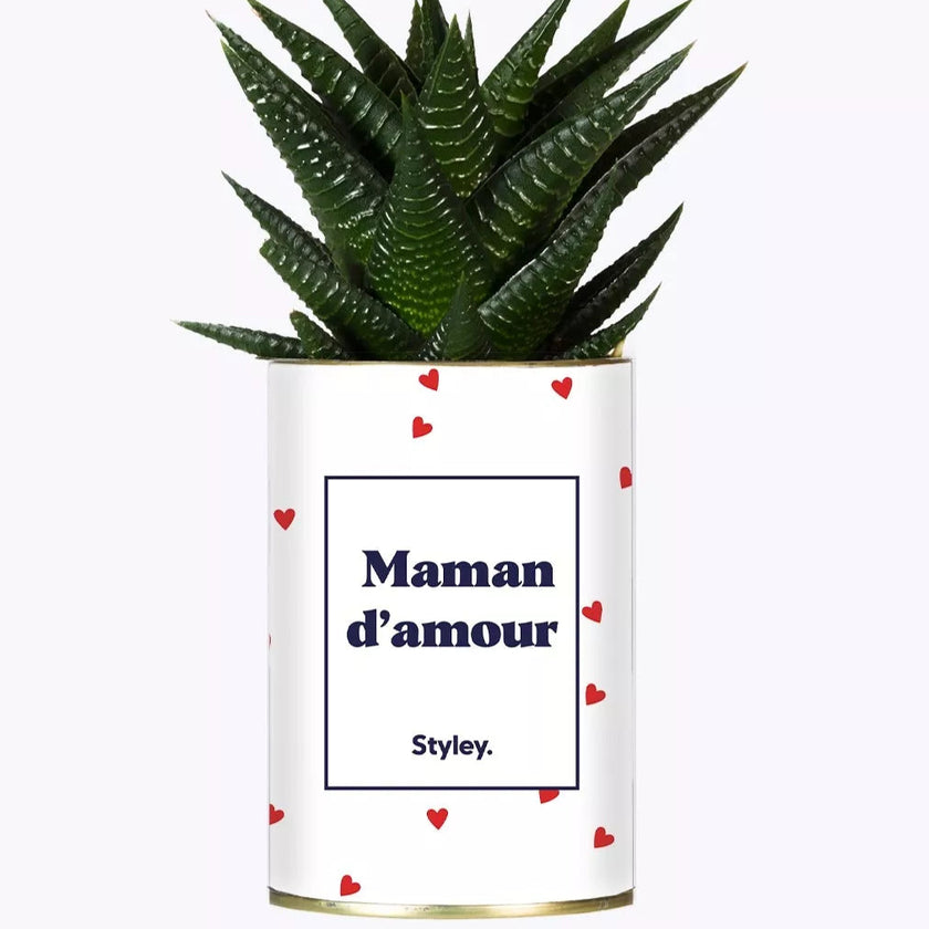 plante maman d'amour