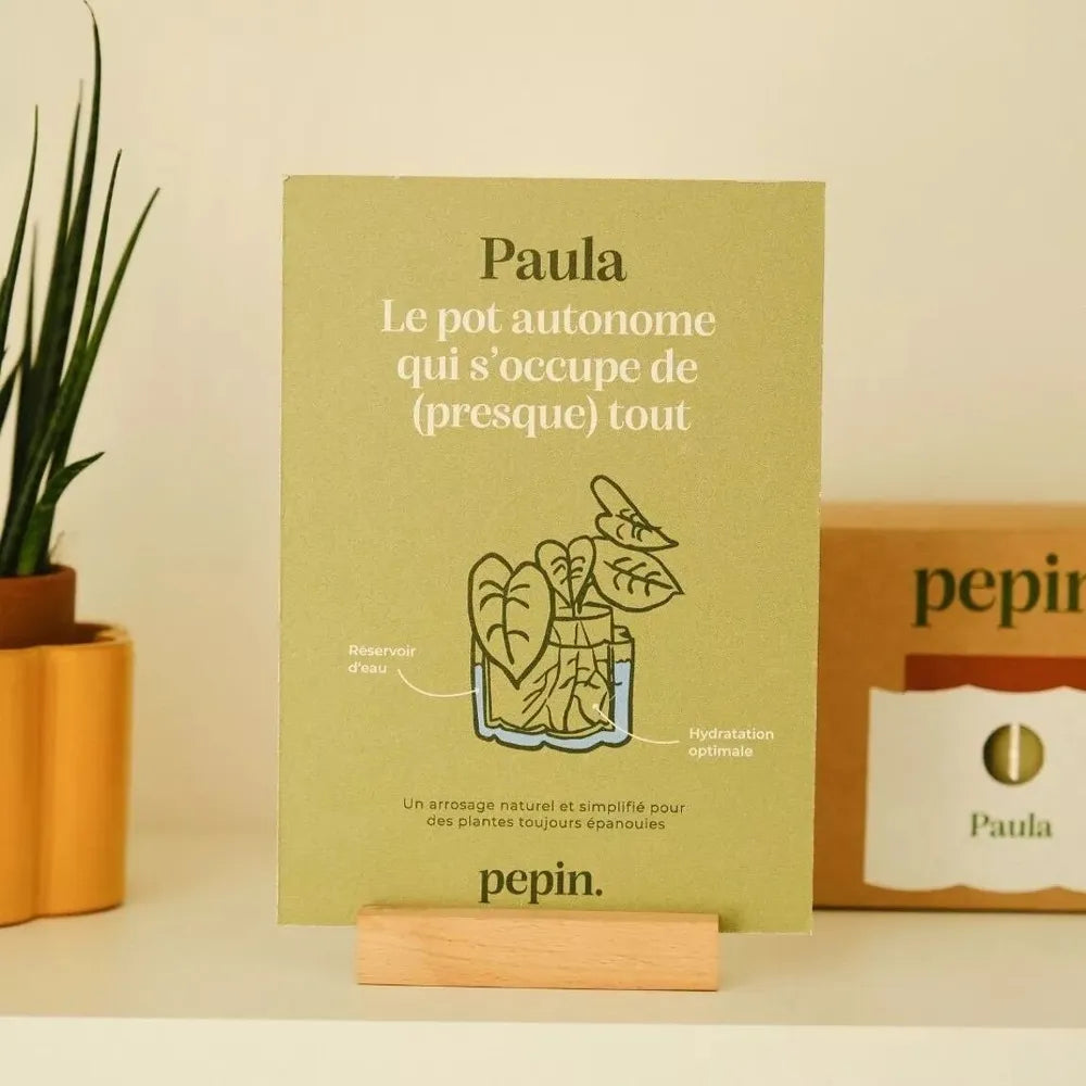Pot autonome paulita pépin