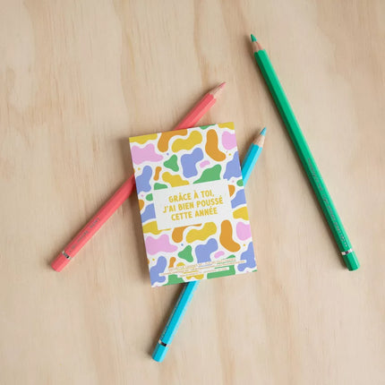 Sachet de fleurs des champs graines