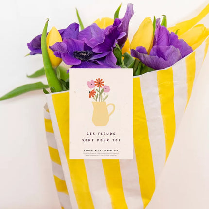 Sachet de graine coquelicot 