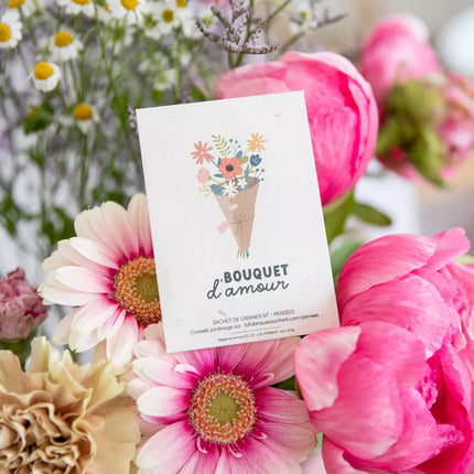 sachet de graine de pensée