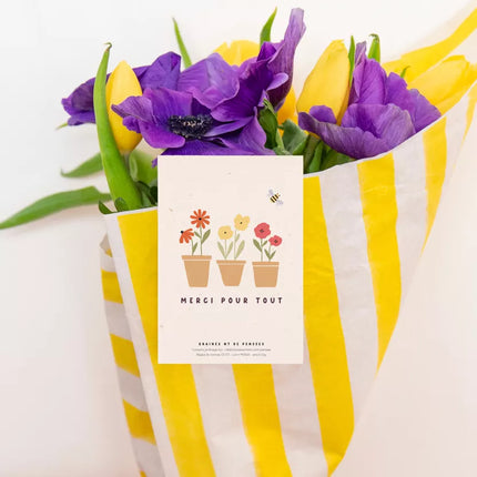 Sachet de graines merci pour tout Pensées 