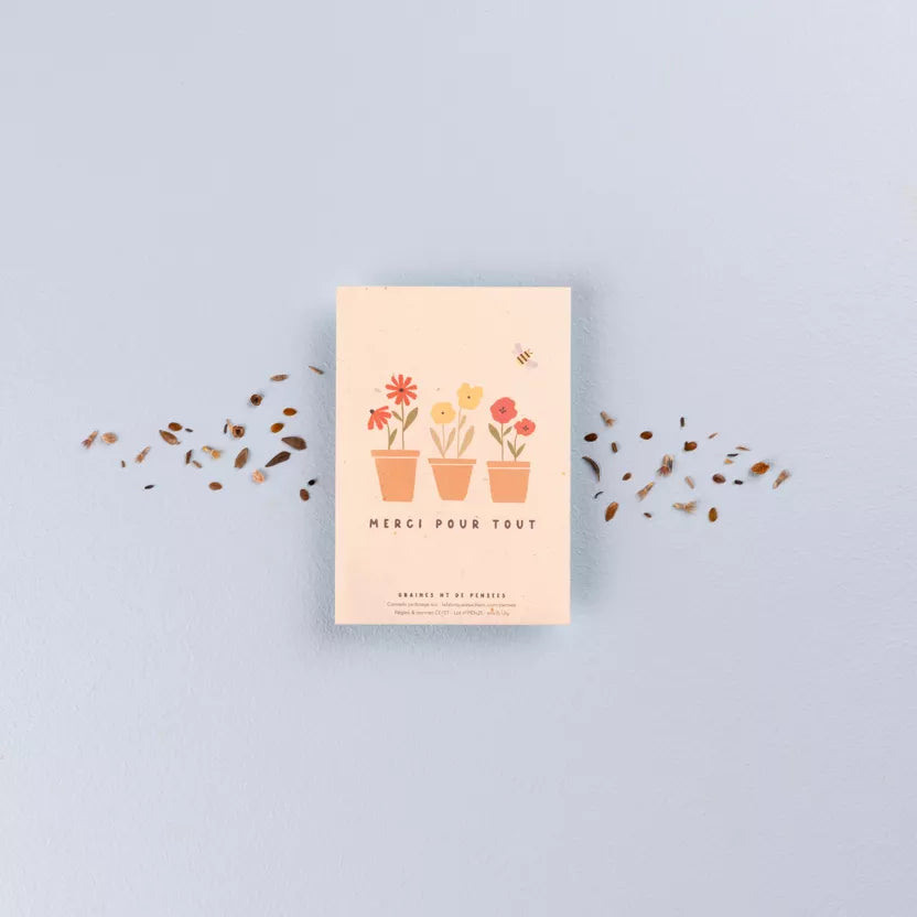 Sachet de graines merci pour tout Pensées 