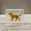 savon chien