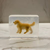 savon chien