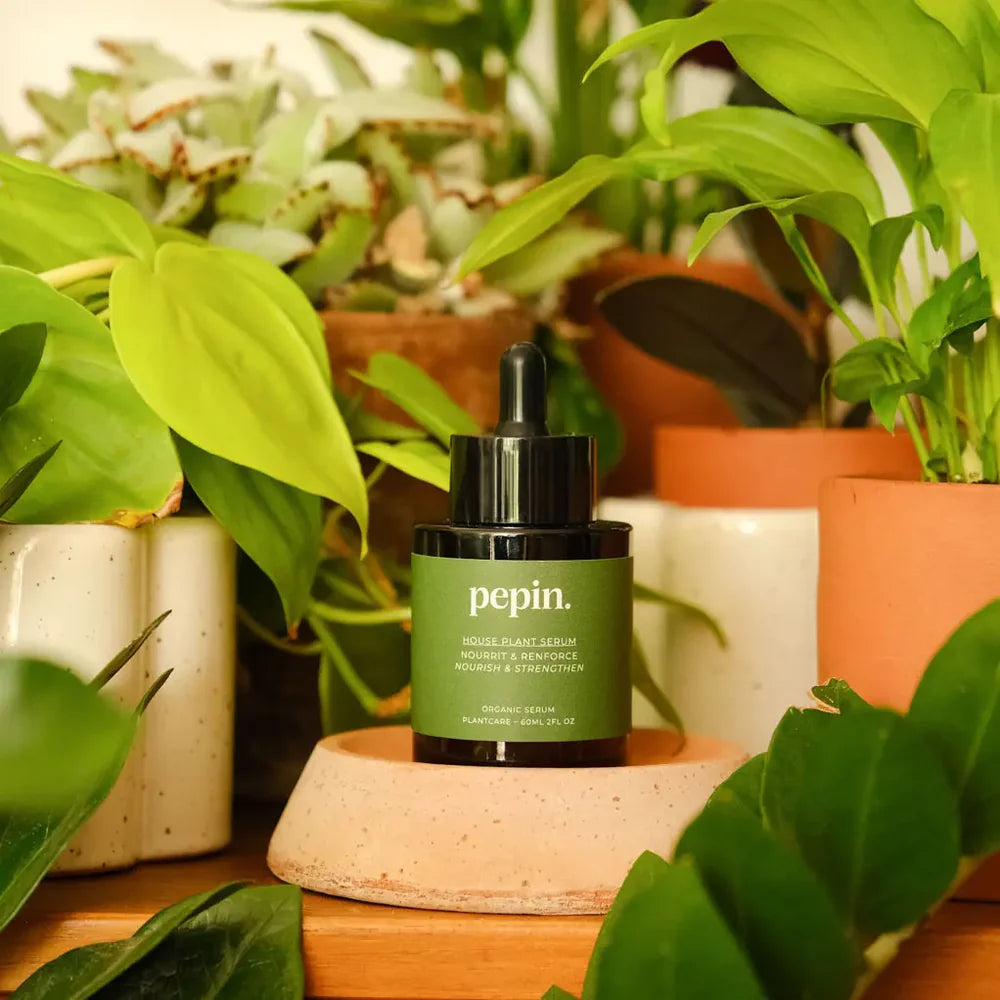 Sérum nourrissant plantes pépin
