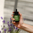 Sérum nourrissant plantes pépin