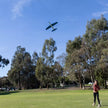 Shark glider cool kidz project