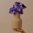 Vase sado brun clair O cactus