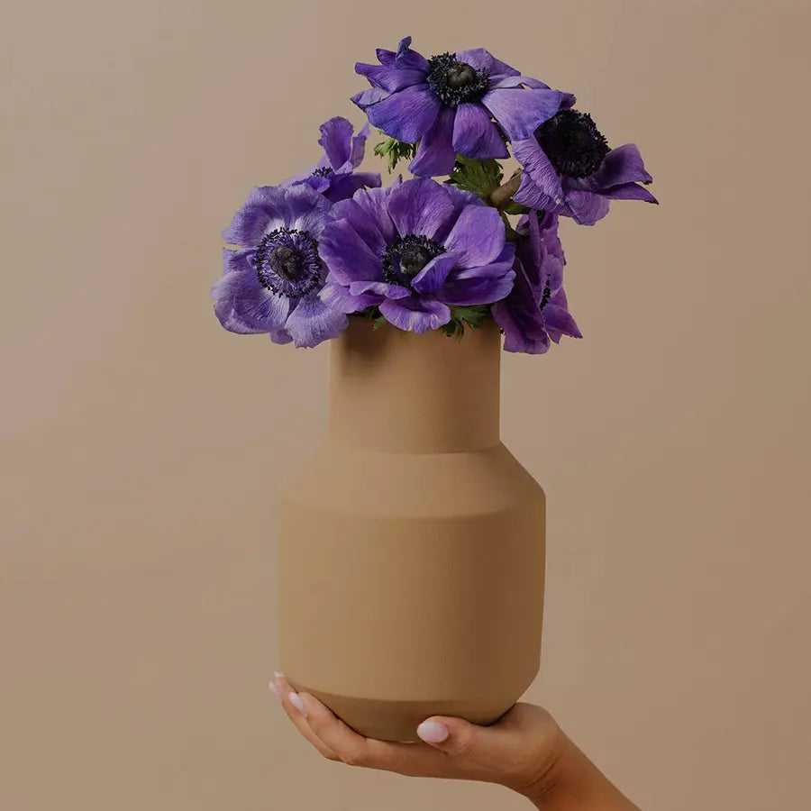 Vase sado brun clair O cactus