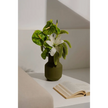 Vase sado vert olive O cactus