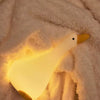 lampe veilleuse oie