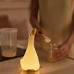 lampe veilleuse oie