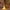 lampe veilleuse oie