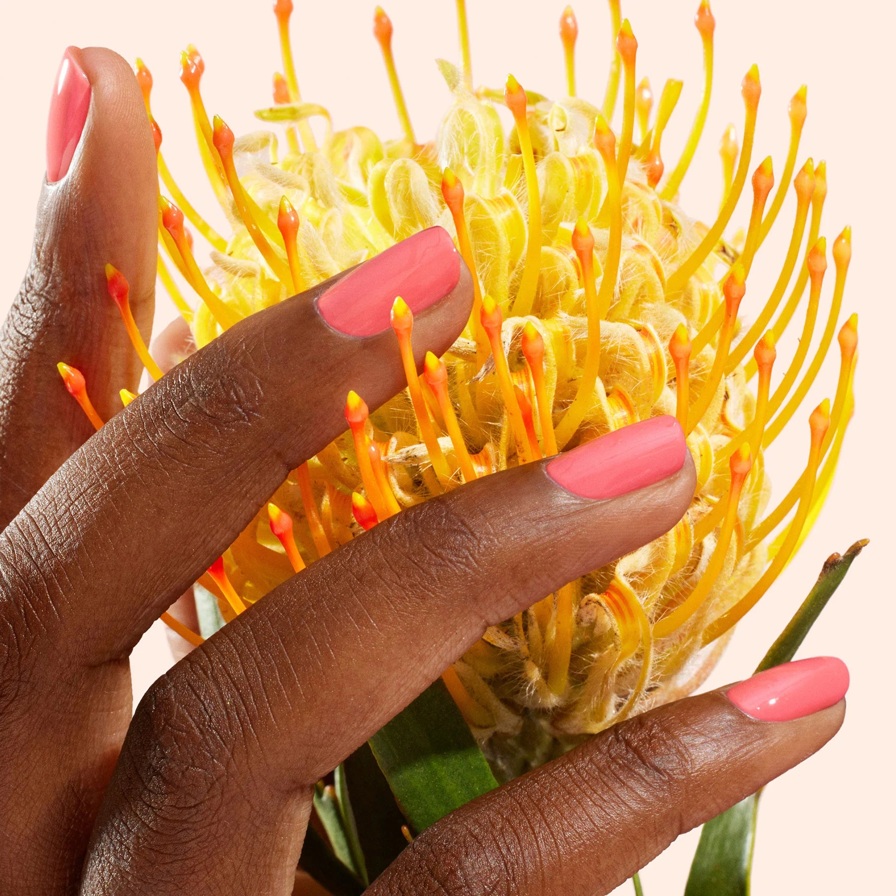 Vernis semi permanent capucine manucurist