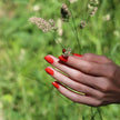 Vernis semi red coral manucurist