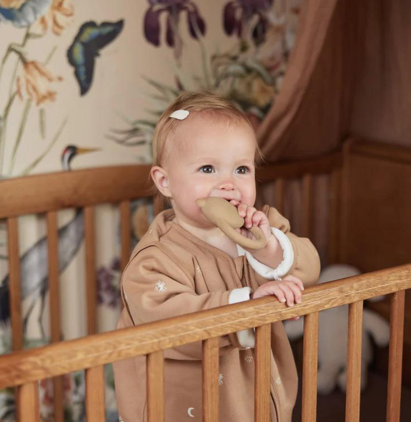 anneau de dentition teddy bear biscuit