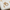 anneau de dentition teddy bear biscuit